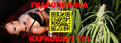 тгк Брянск