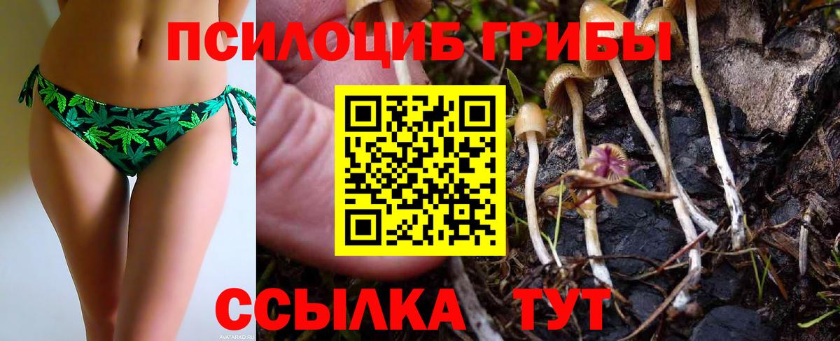 Псилоцибиновые грибы Psilocybe  как найти закладки  Дмитров  Вход с VPN  Псилоцибиновые грибы Psilocybe 